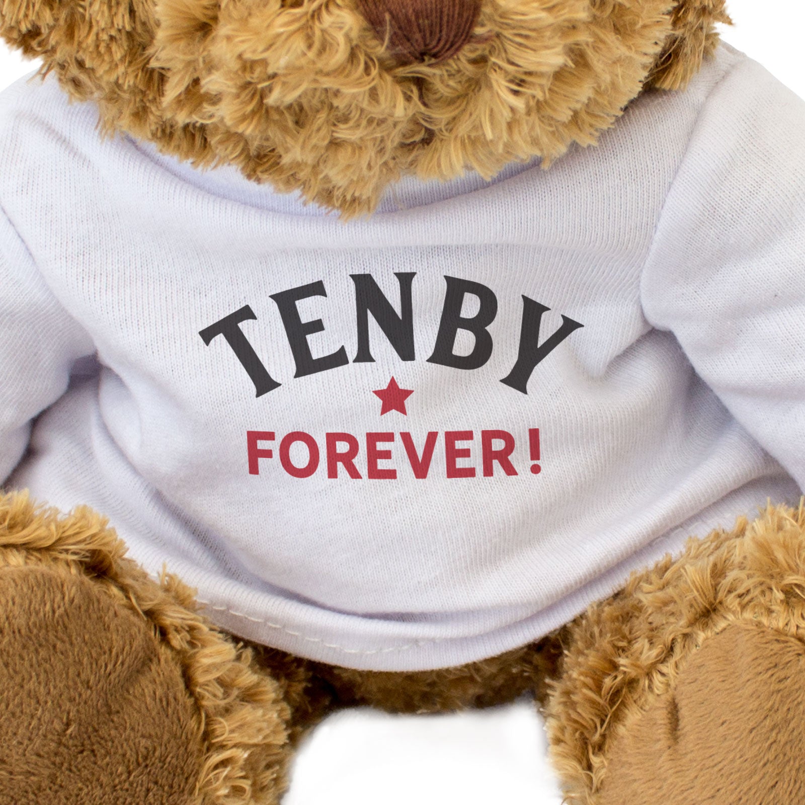 TENBY FOREVER! - Teddy Bear - Cute Funny Soft - Wales Souvenir Gift Present