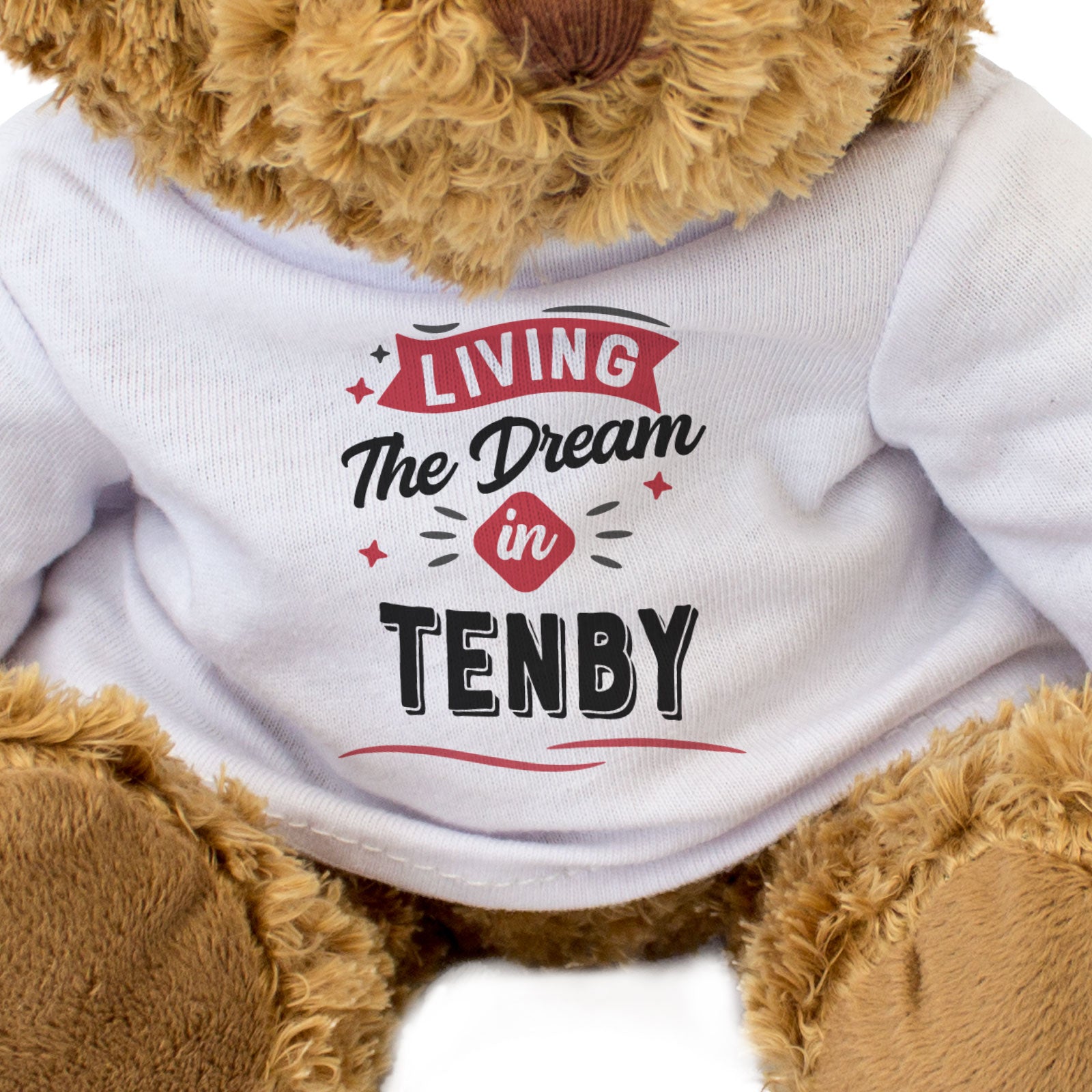 LIVING THE DREAM IN TENBY - Teddy Bear - Funny - Wales Souvenir Gift Present