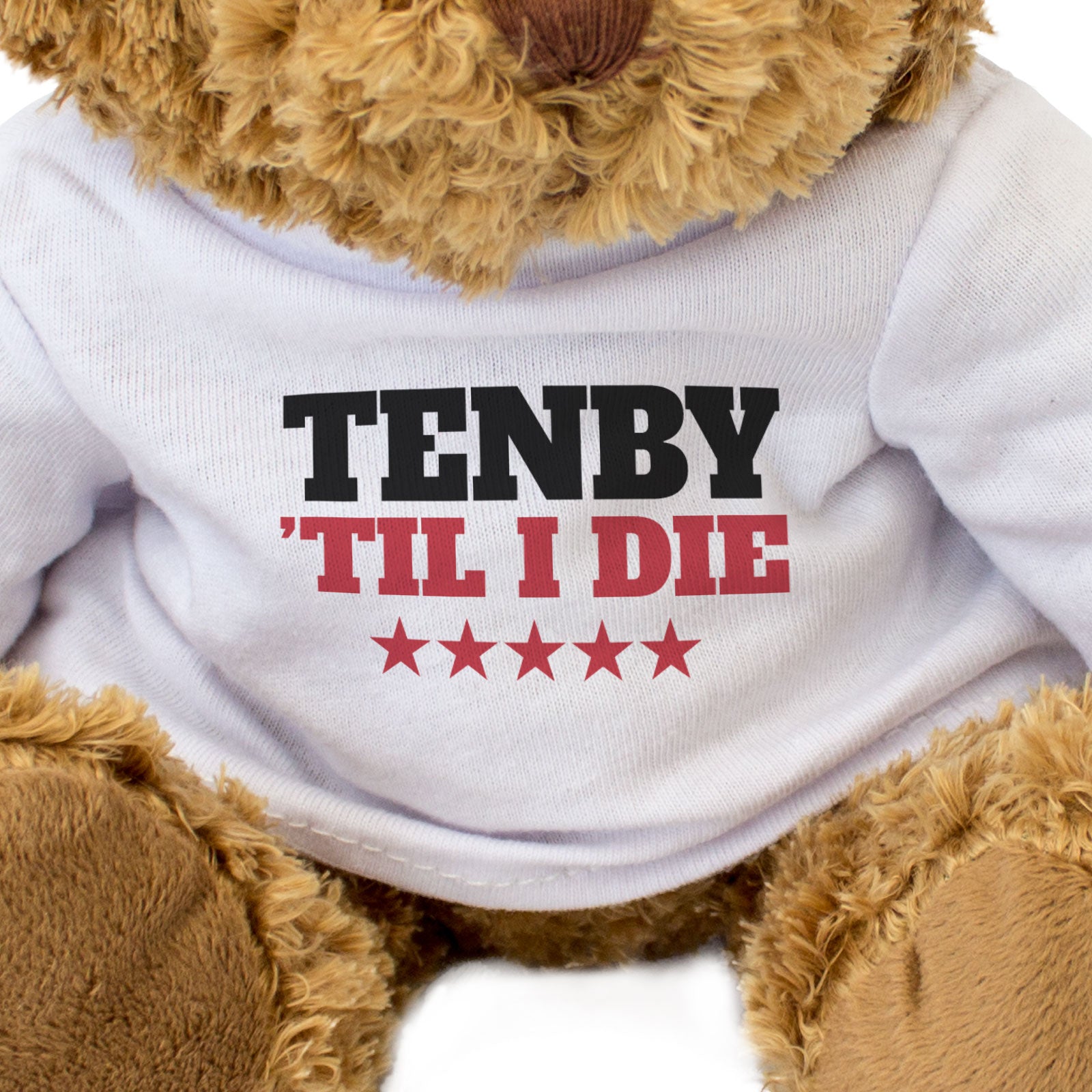 TENBY TIL I DIE - Teddy Bear - Cute Funny Soft - Wales Souvenir Gift Present
