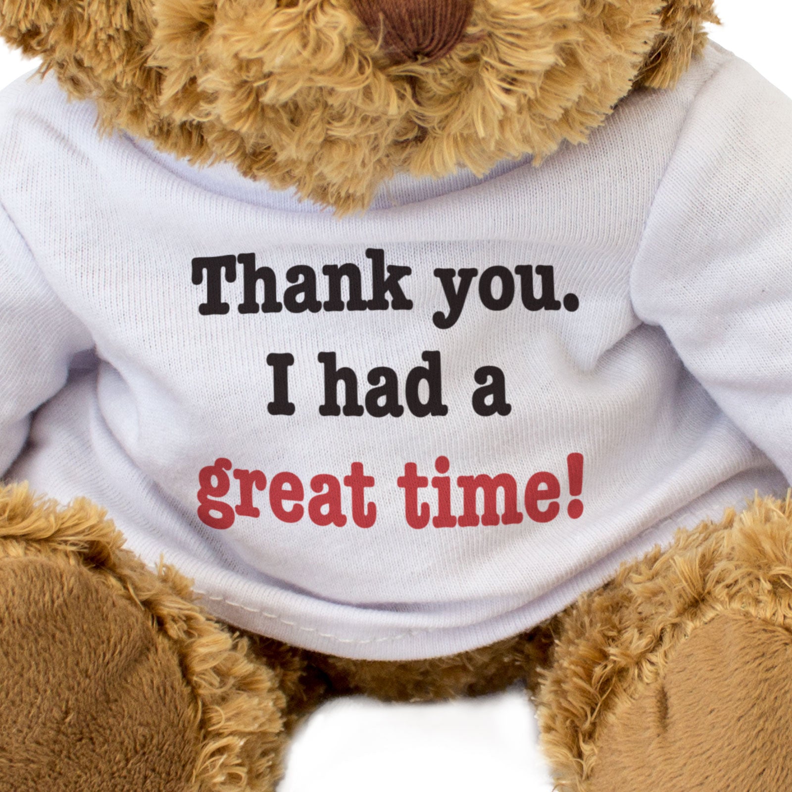 THANK YOU I HAD A GREAT TIME! - Teddy Bear - Cute Cuddly Soft - Gift Present