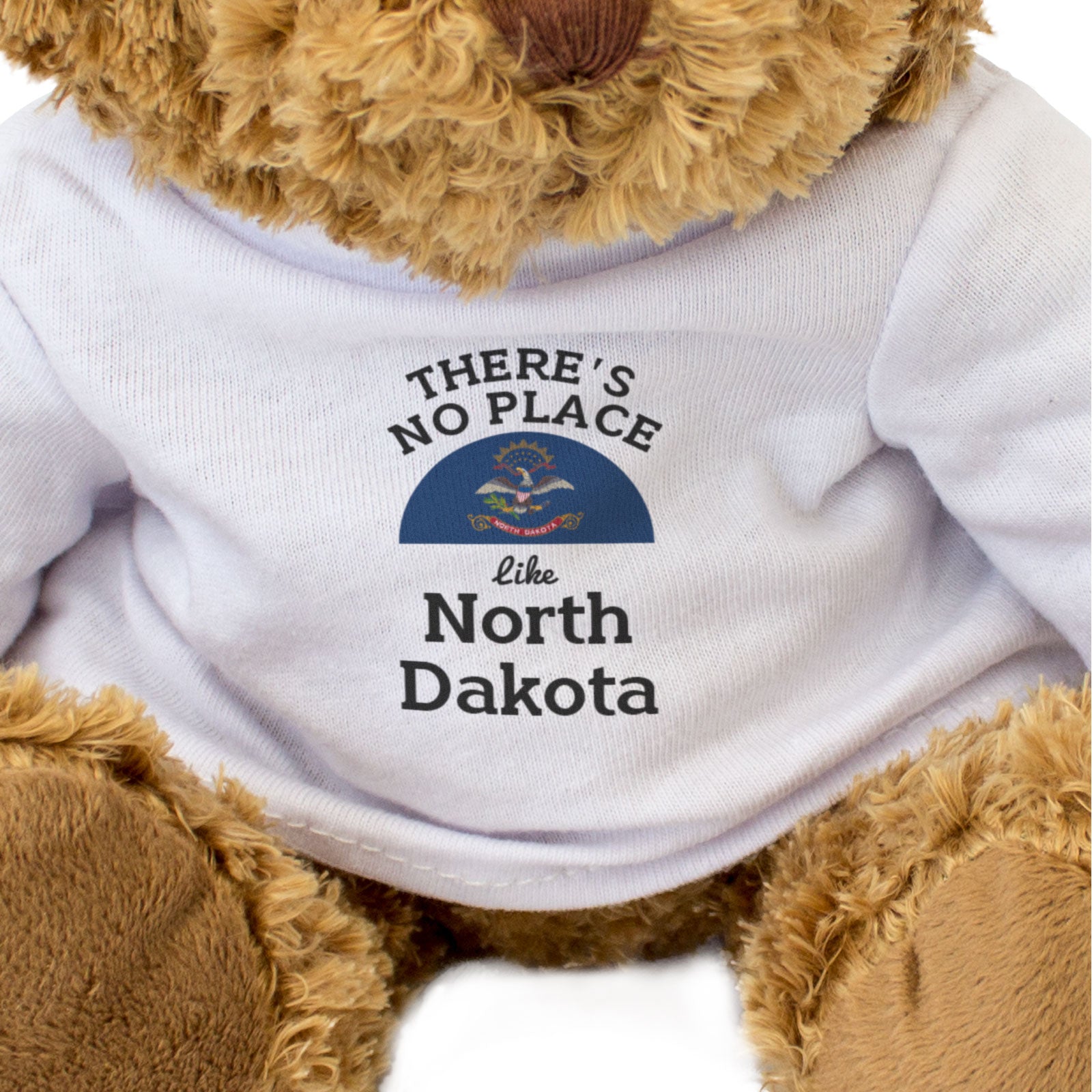 THERE'S NO PLACE LIKE NORTH DAKOTA - Teddy Bear - Cute Cuddly - Gift Present
