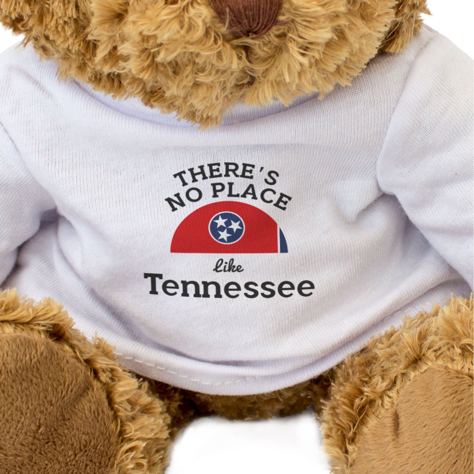 THERE'S NO PLACE LIKE TENNESSEE - Teddy Bear - Cute Cuddly Soft - Gift Present