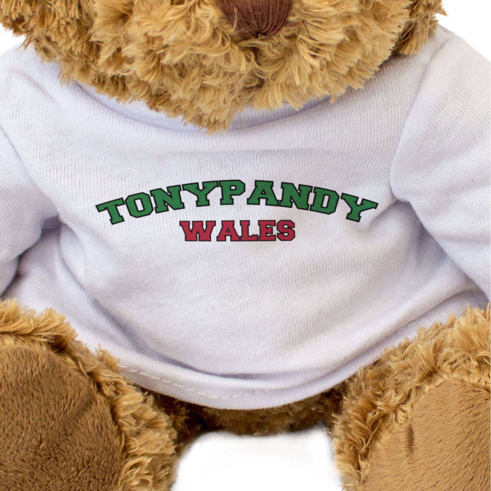 TONYPANDY, WALES - Teddy Bear - Cute Cuddly Soft Adorable - Welsh Gift Present
