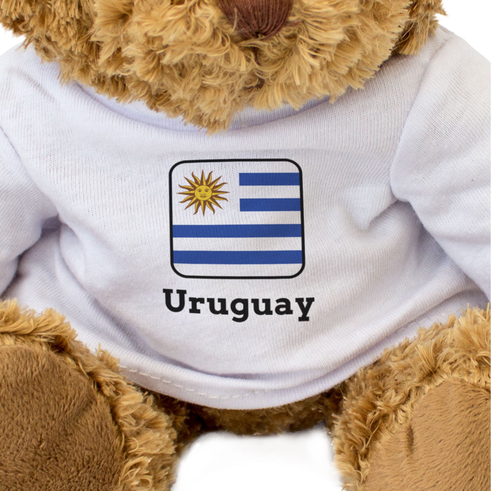 URUGUAY FLAG SQUARE - Teddy Bear - Cute Funny - Uruguayan Souvenir Gift Present