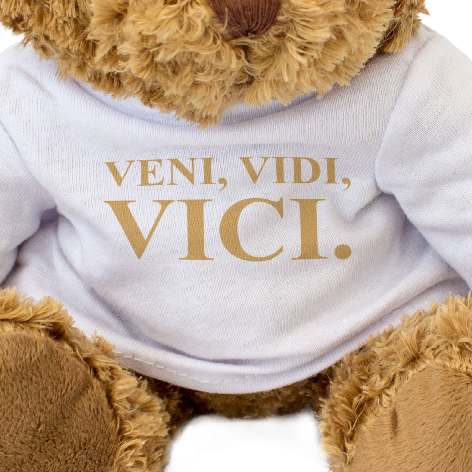 VENI VIDI VICI - Teddy Bear - Cute Funny - Ancient Rome Latin Gift Present
