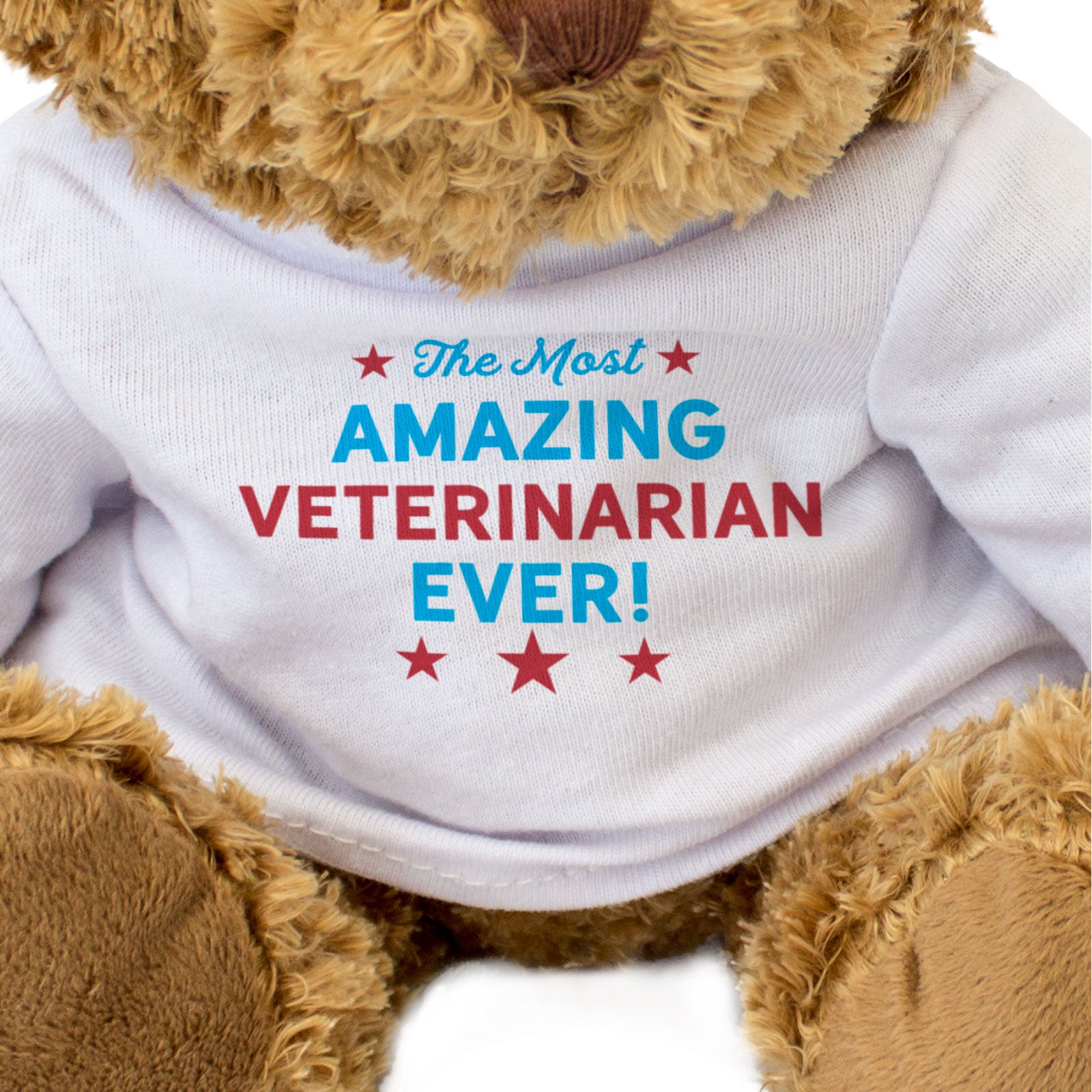 THE MOST AMAZING VETERINARIAN EVER - Teddy Bear - Cute Funny - Gift Present