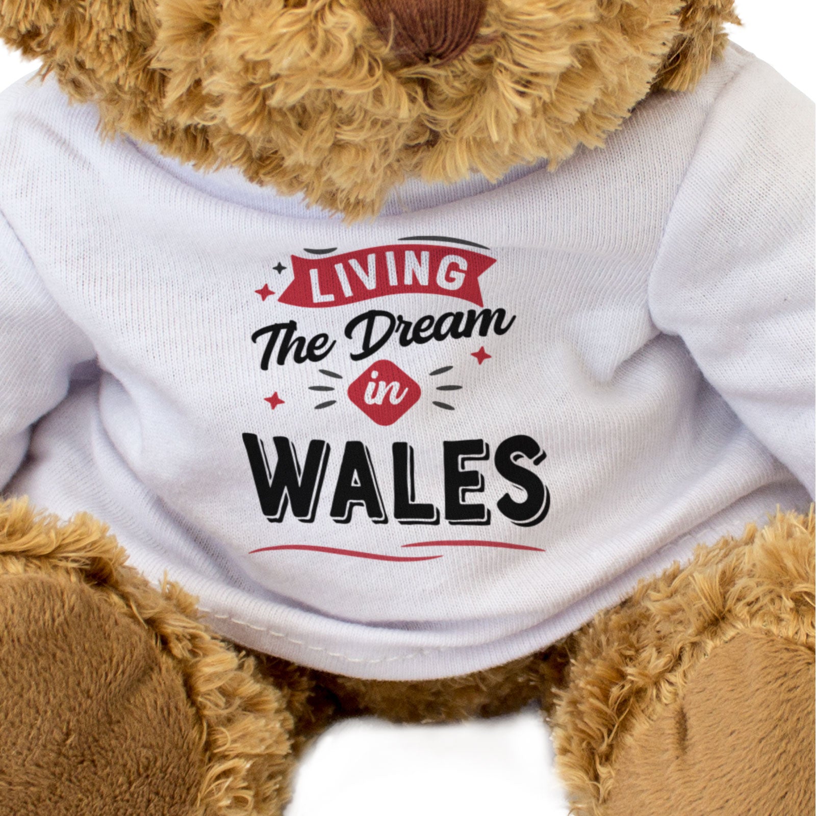 LIVING THE DREAM IN WALES - Teddy Bear - Cute - Funny Welsh Cymru Gift Present