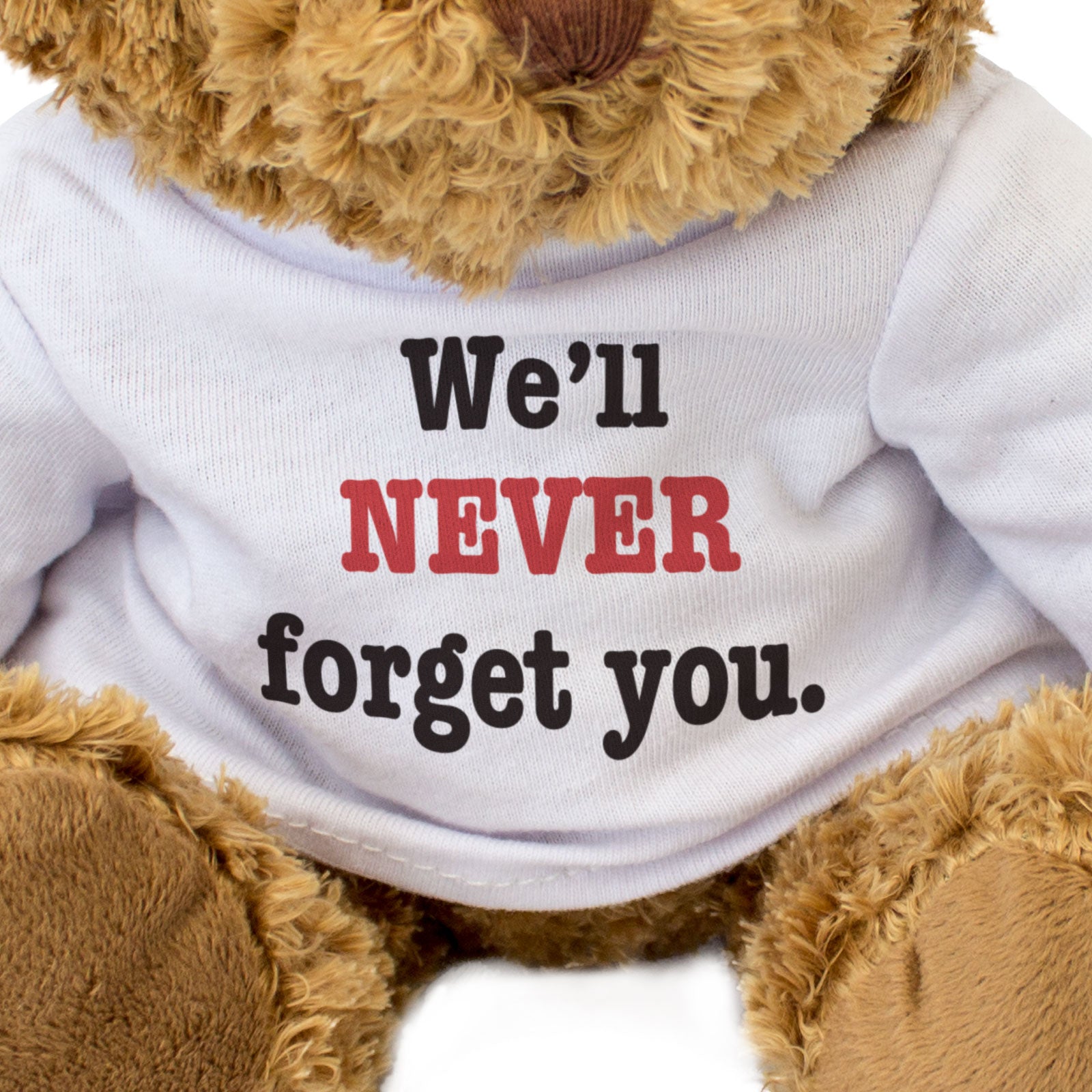 WE'LL NEVER FORGET YOU - Teddy Bear - Cute Cuddly - Supportive Gift Present