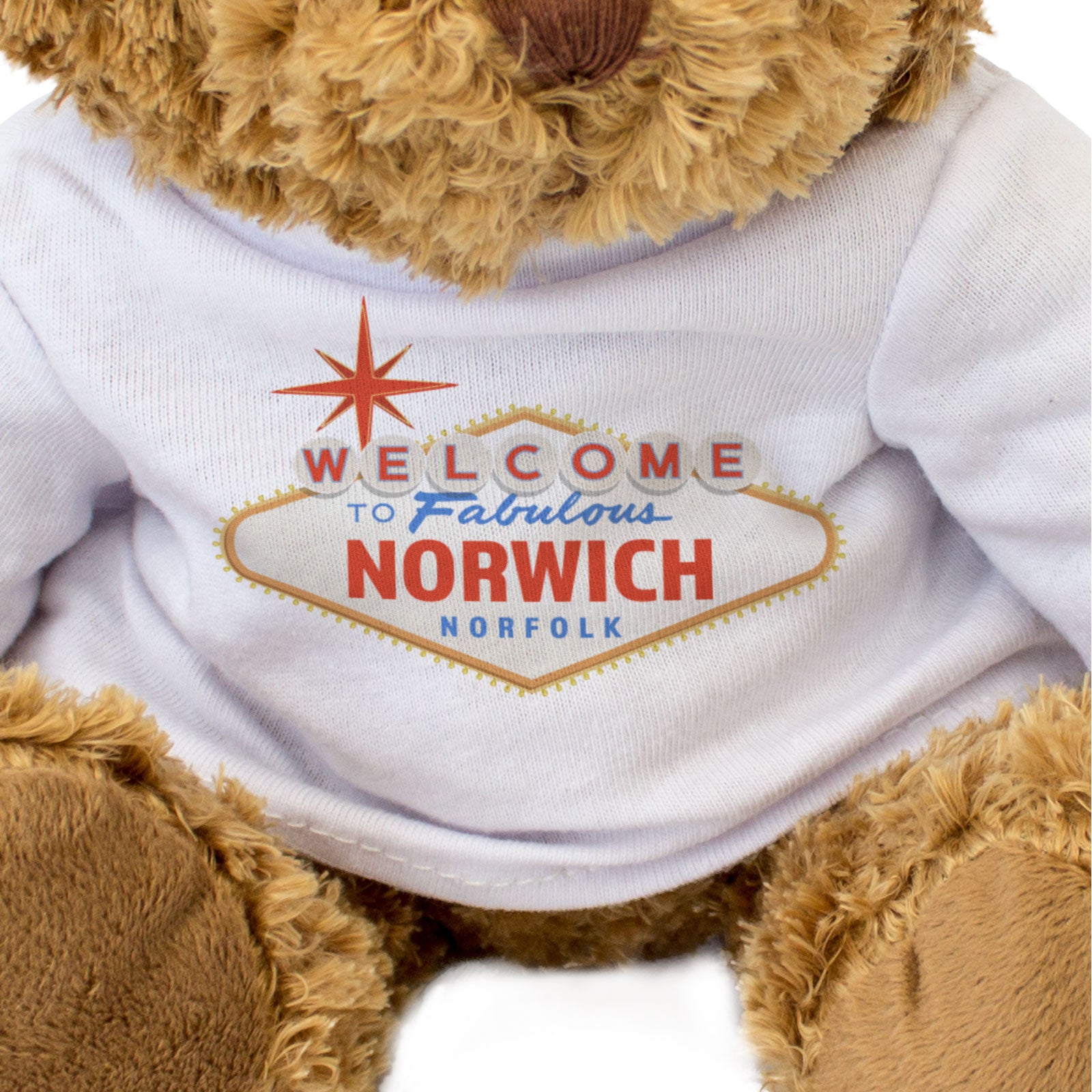 WELCOME TO FABULOUS NORWICH NORFOLK - Teddy Bear - Funny Gift Present