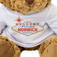 WELCOME TO FABULOUS NORWICH NORFOLK - Teddy Bear - Funny Gift Present