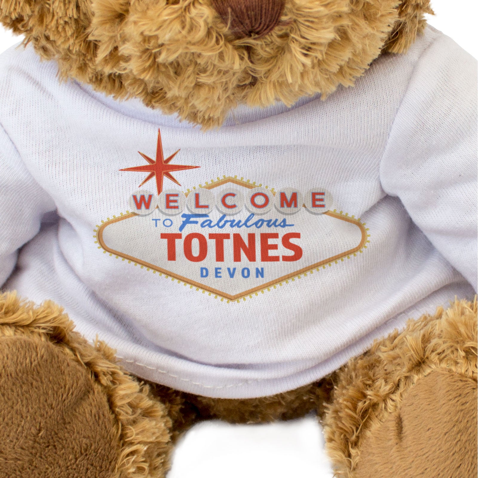 WELCOME TO FABULOUS TOTNES DEVON - Teddy Bear - Funny Gift Present