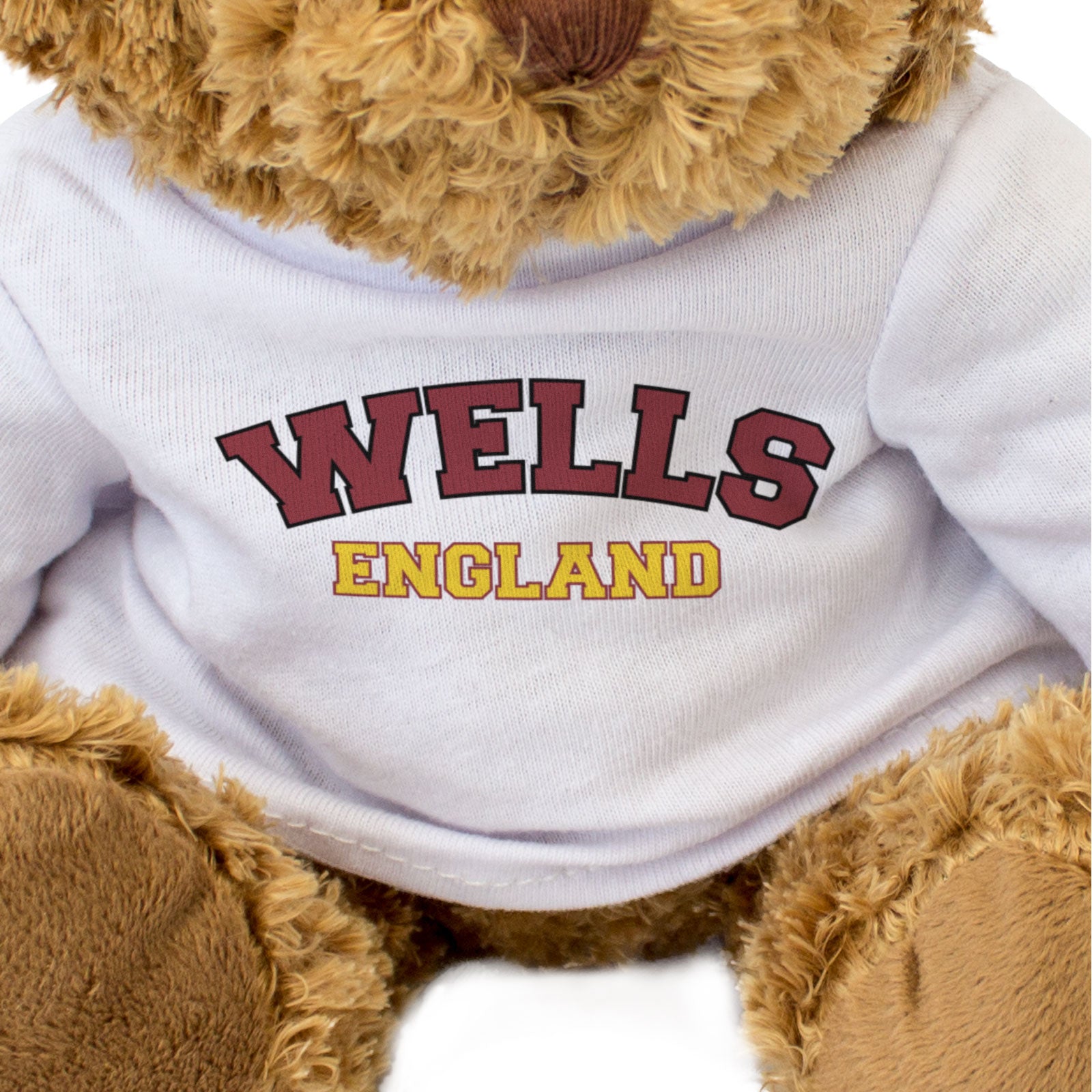 WELLS, ENGLAND - Teddy Bear - Cute Cuddly Soft - Funny Somerset Gift Present
