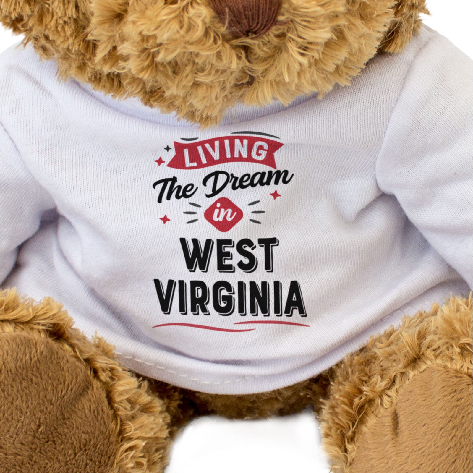 LIVING THE DREAM IN WEST VIRGINIA - Teddy Bear - Cute - Funny Gift Present