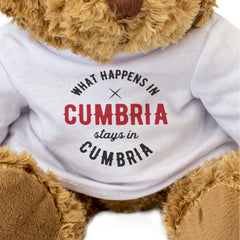 WHAT HAPPENS IN CUMBRIA STAYS IN CUMBRIA - Teddy Bear - Funny Gift Present