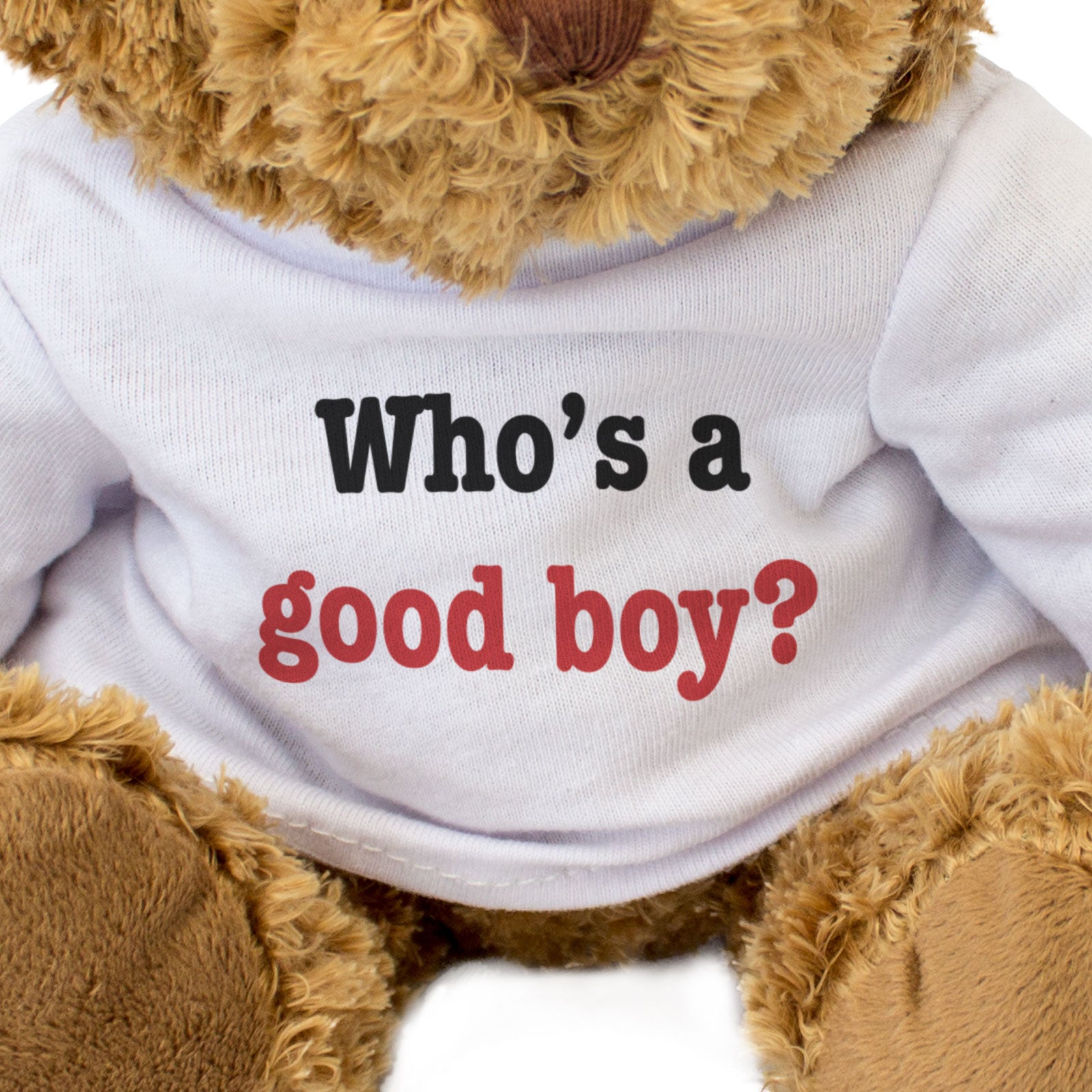 WHO'S A GOOD BOY? - Teddy Bear - Cute Cuddly Soft Adorable - Funny Gift Present