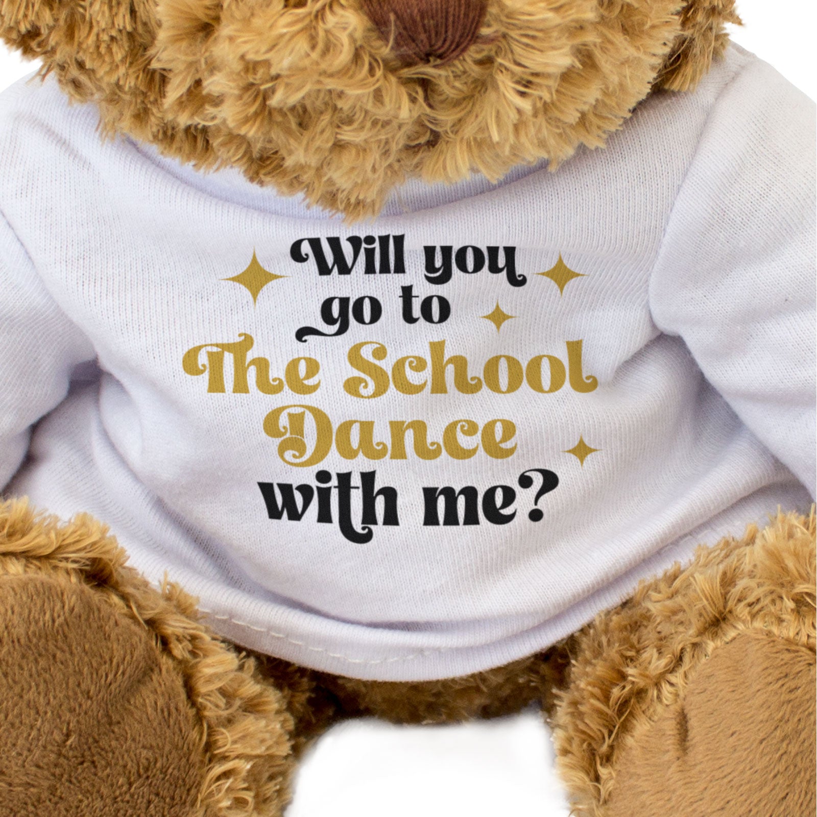 WILL YOU GO TO THE SCHOOL DANCE WITH ME? - Teddy Bear - Promposal Gift Present