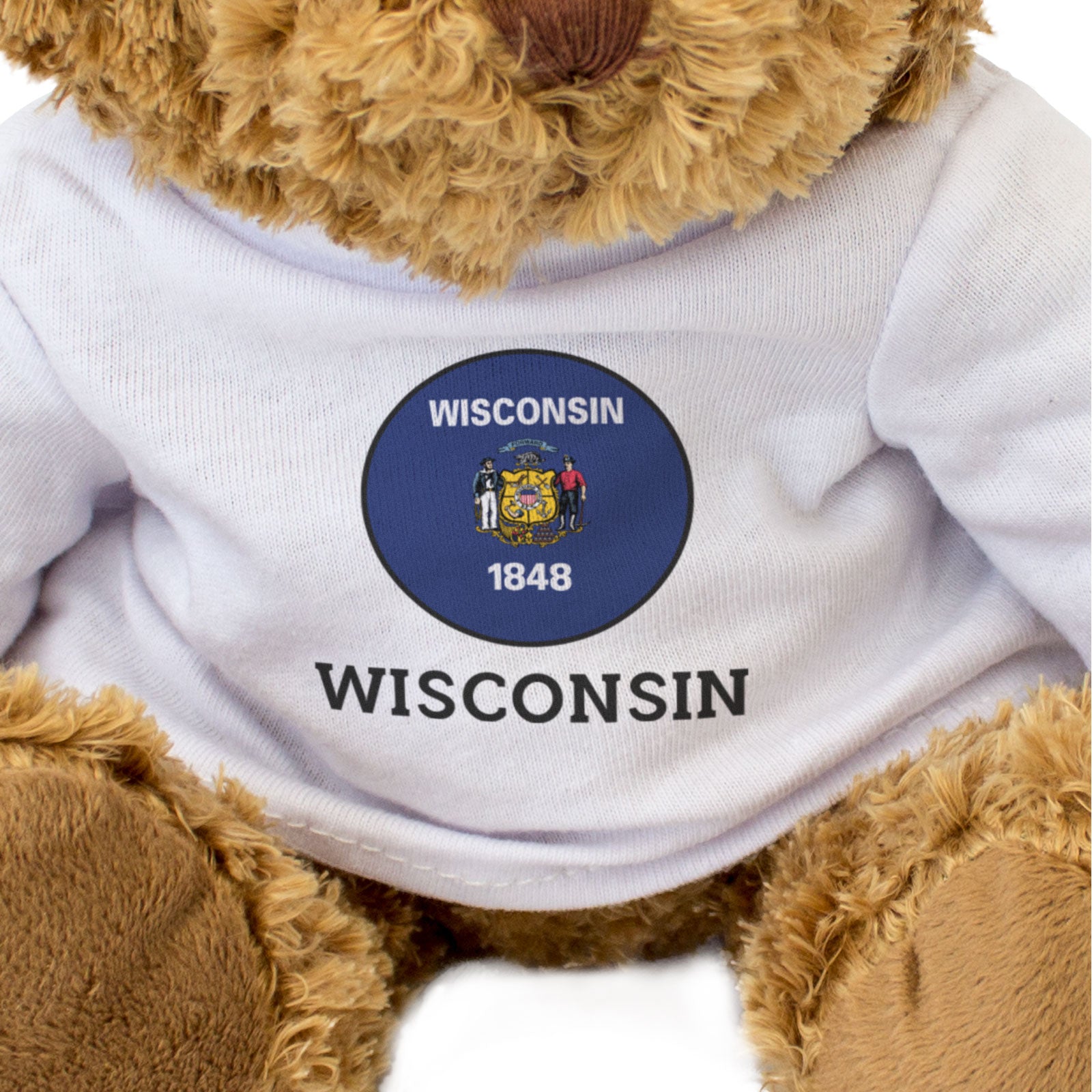 WISCONSIN FLAG ROUNDEL - Teddy Bear - Cute Cuddly Soft - USA Gift Present