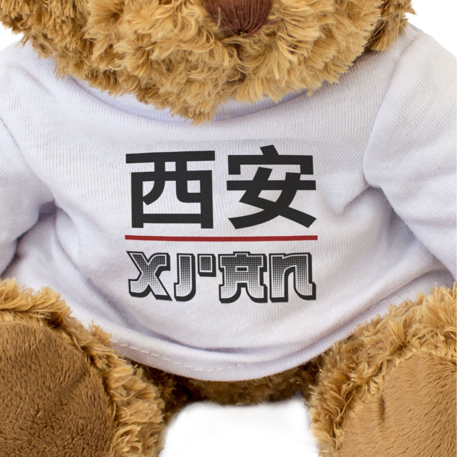 XI'AN (西安) - Teddy Bear - Cute Cuddly Soft - Chinese Souvenir Gift Present