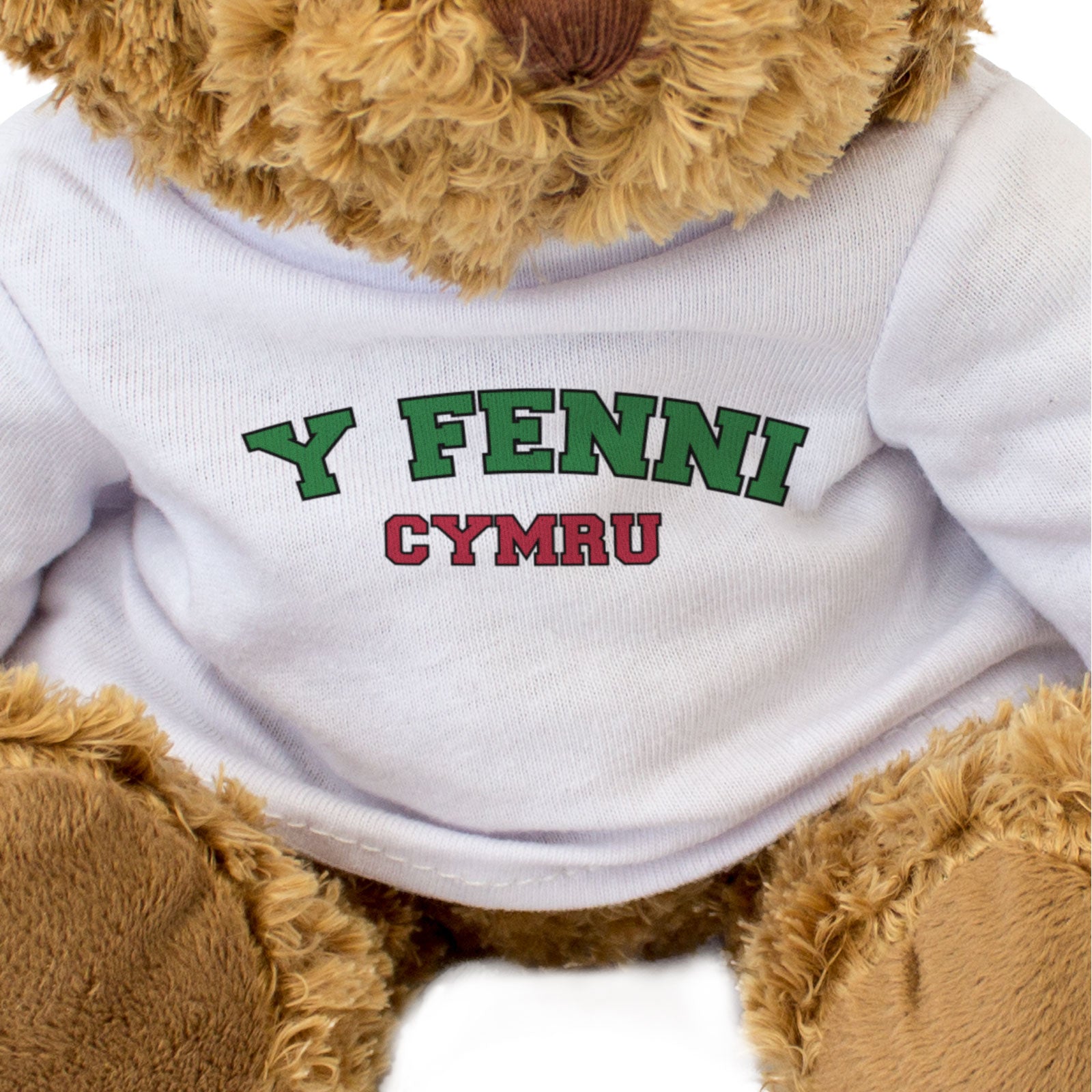 Y FENNI, CYMRU - Teddy Bear - Cute Cuddly Soft - Abergavenny Welsh Gift Present