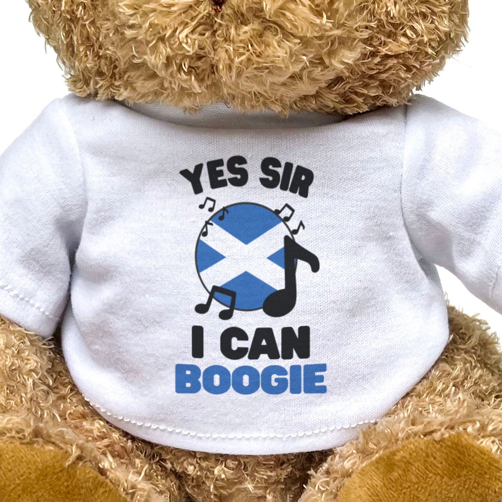 YES SIR I CAN BOOGIE (SCOTLAND FLAG) - Teddy Bear - Funny Football Gift Present