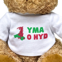 YMA O HYD (WALES MAP) - Teddy Bear - Cute Funny - Welsh Cymru Gift Present