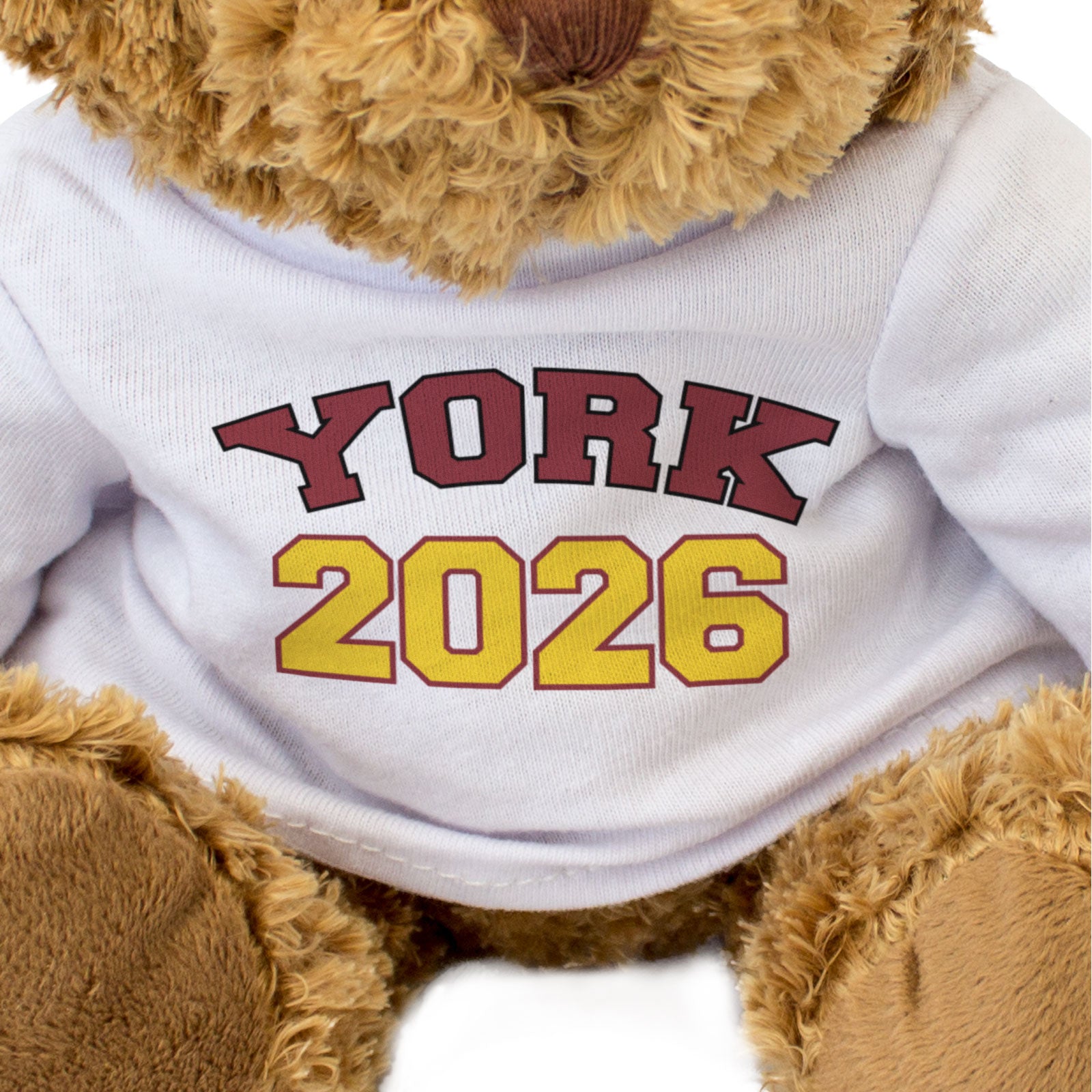 YORK 2026 - Teddy Bear - Cute Cuddly Soft Adorable - Graduation Gift Present