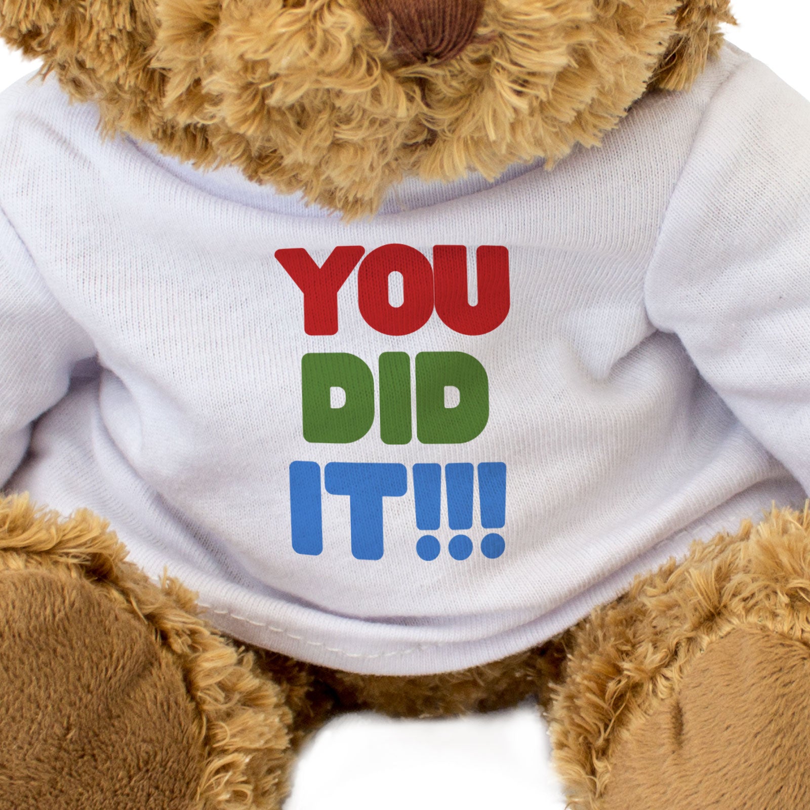 YOU DID IT!!! - Teddy Bear - Cute Funny - Well Done Congratulations Gift Present