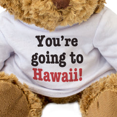 YOU'RE GOING TO HAWAII! - Teddy Bear - Surprise Holiday Vacation - Gift Present
