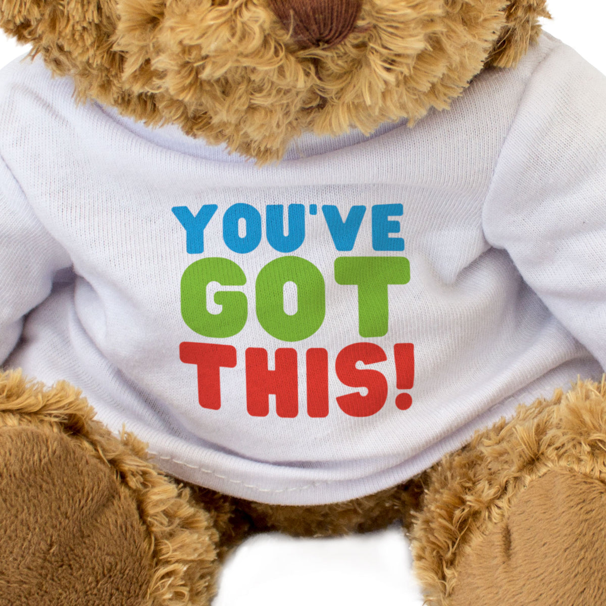 You've Got This! - Teddy Bear