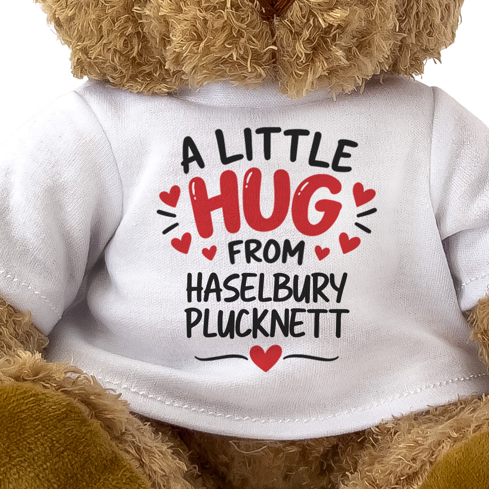 Close-up of the two-line A Little Hug From Haselbury Plucknett T-shirt design