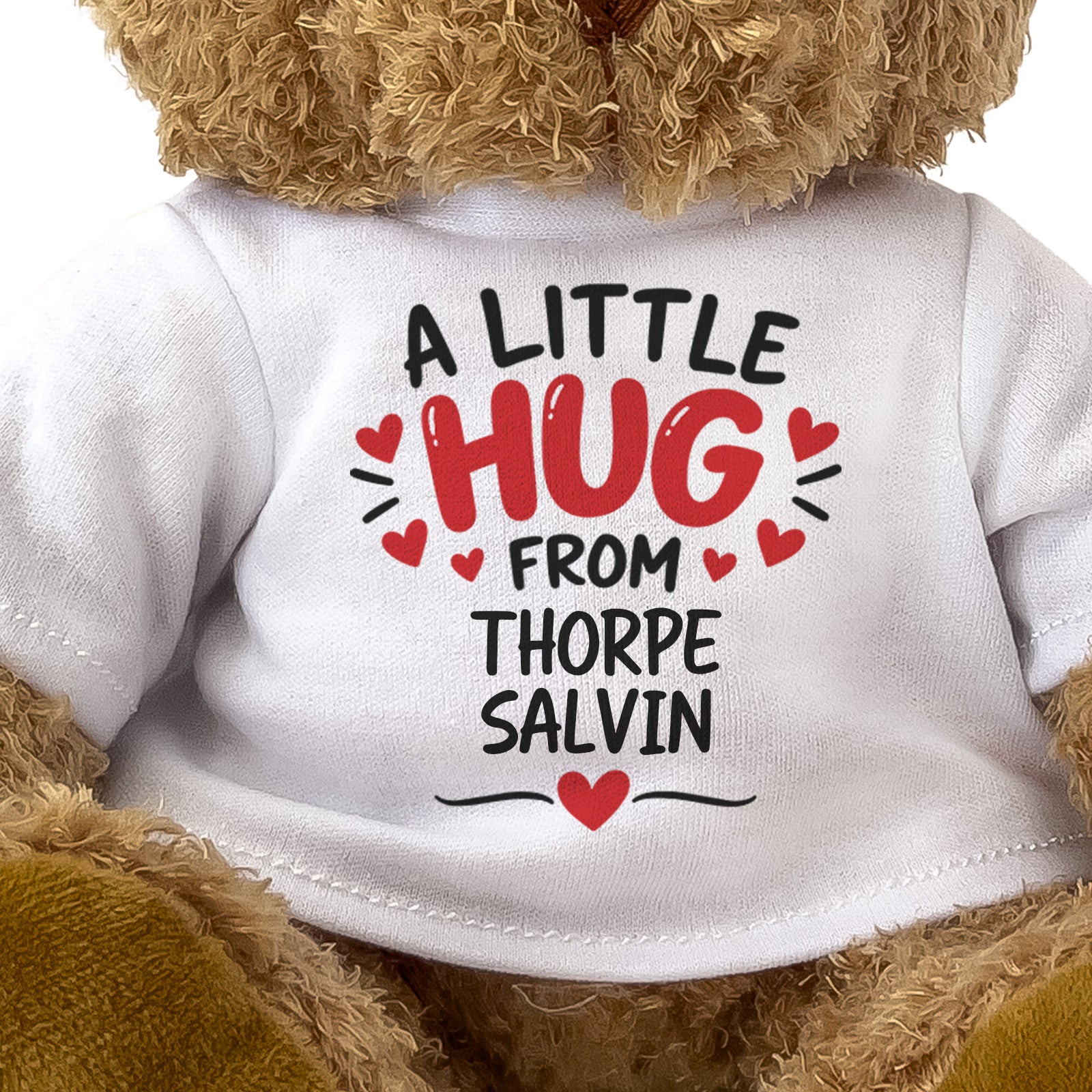 Close-up of the two-line A Little Hug From Thorpe Salvin T-shirt design