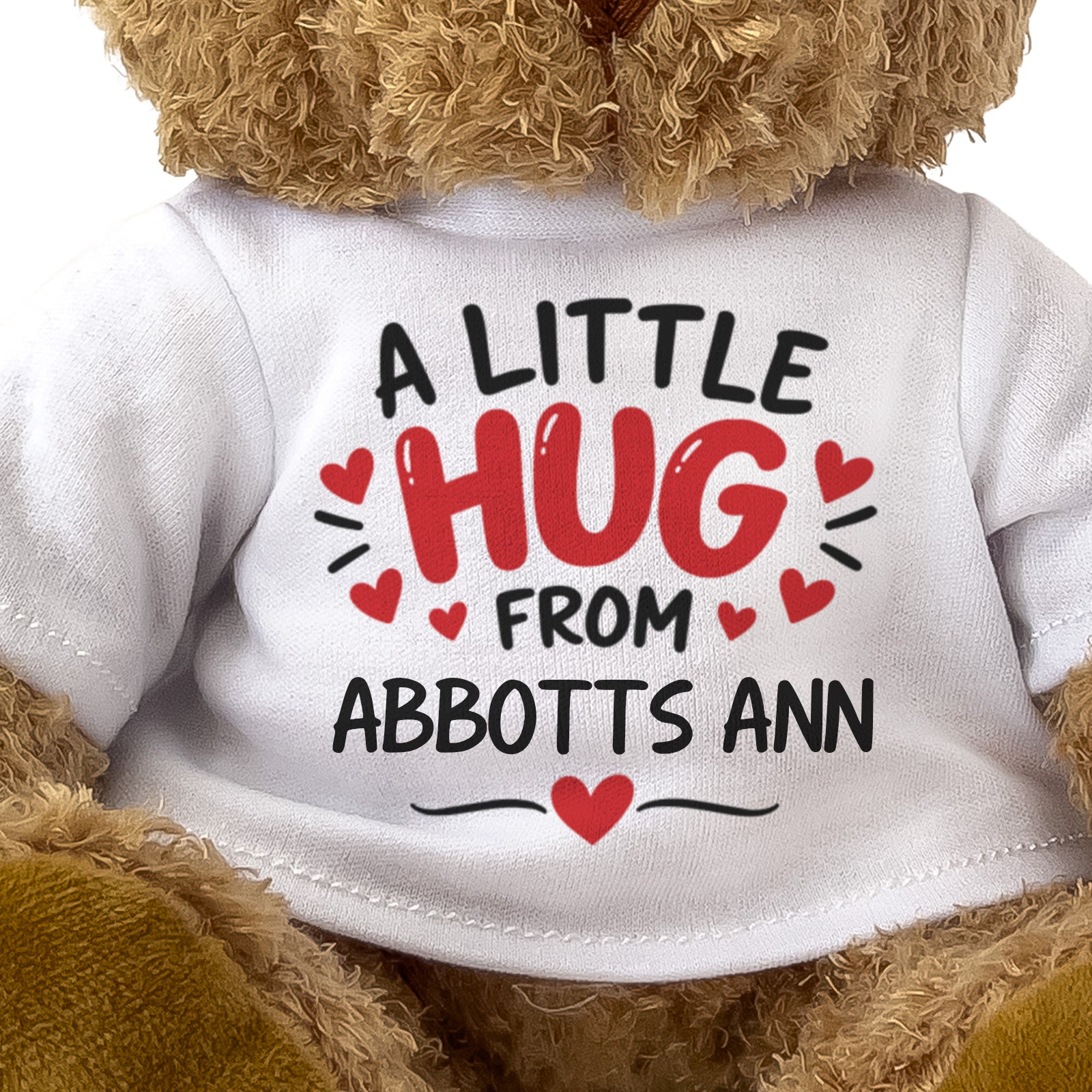 Close-up of the A Little Hug From Abbotts Ann T-shirt design