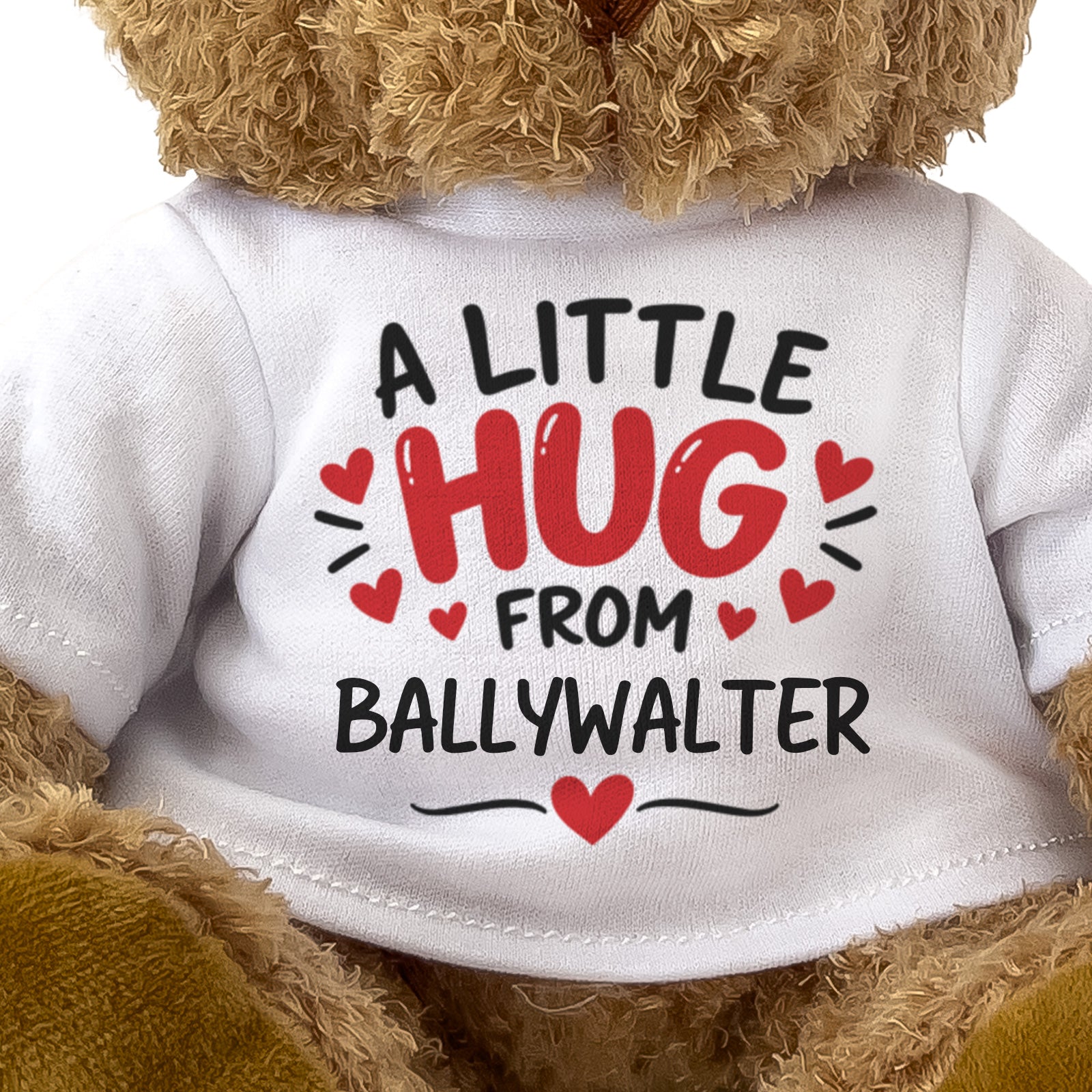 Close-up of the A Little Hug From Ballywalter T-shirt design