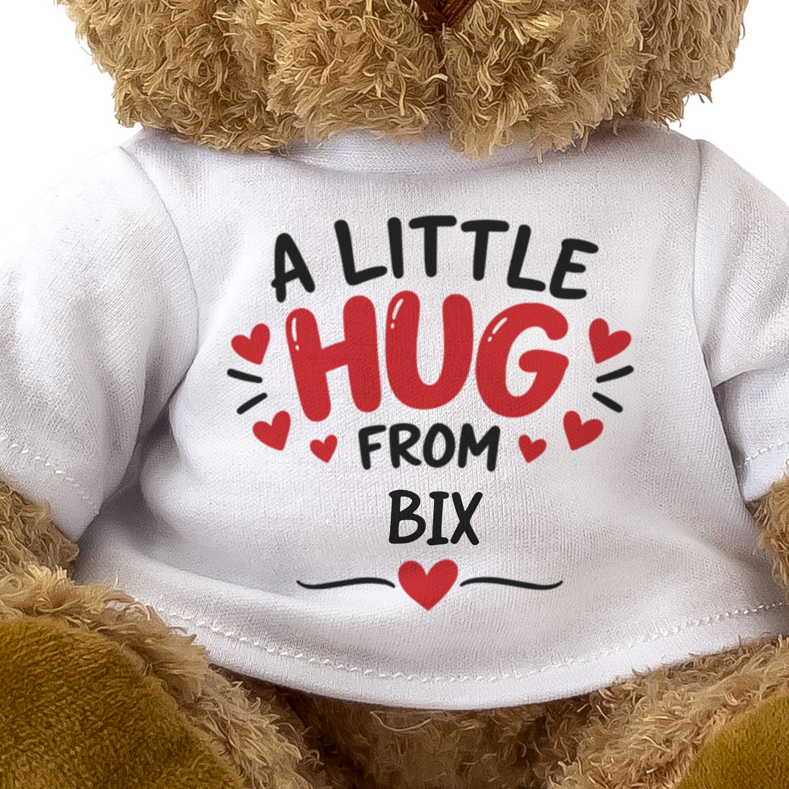 Close-up of the A Little Hug From Bix T-shirt design