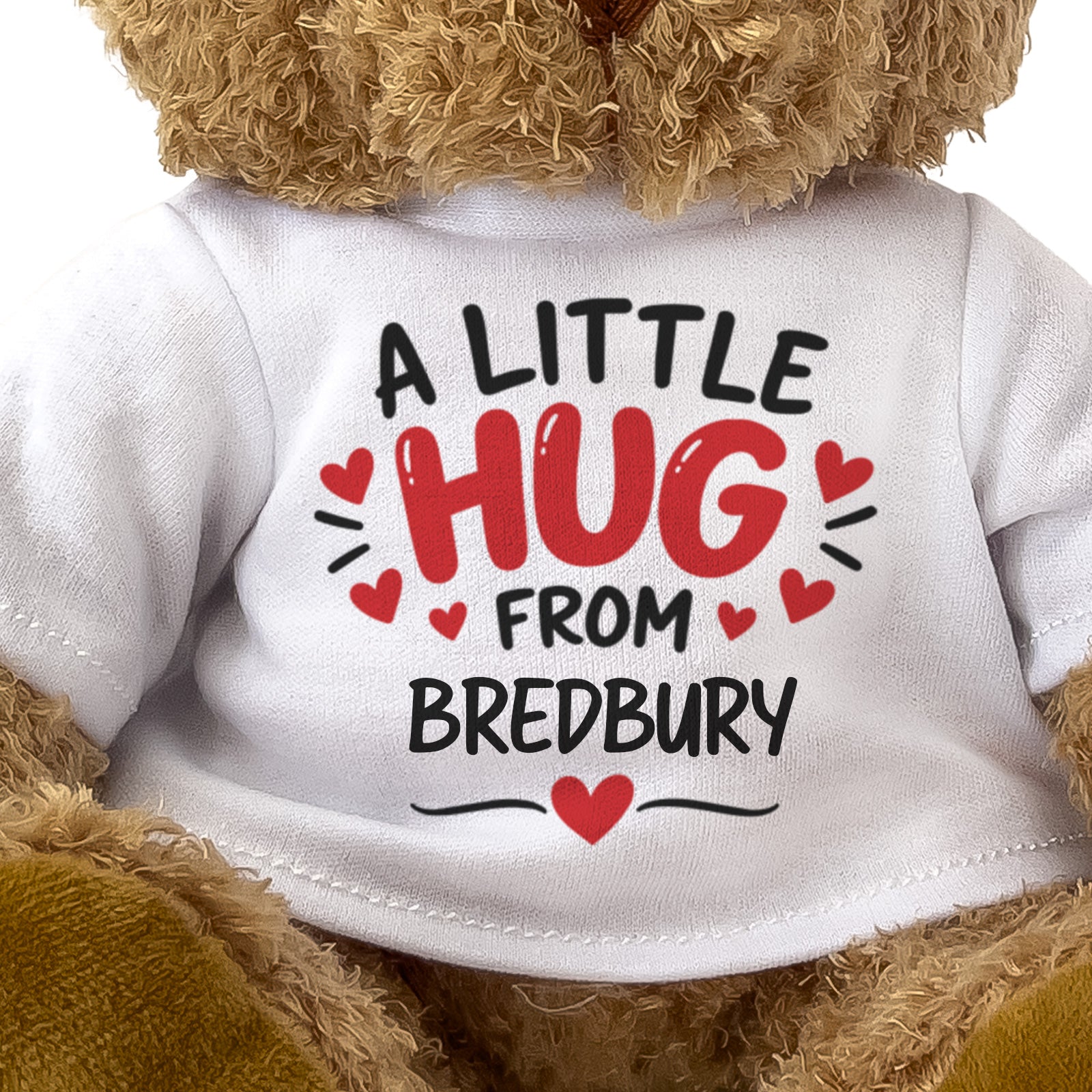 Close-up of the A Little Hug From Bredbury T-shirt design