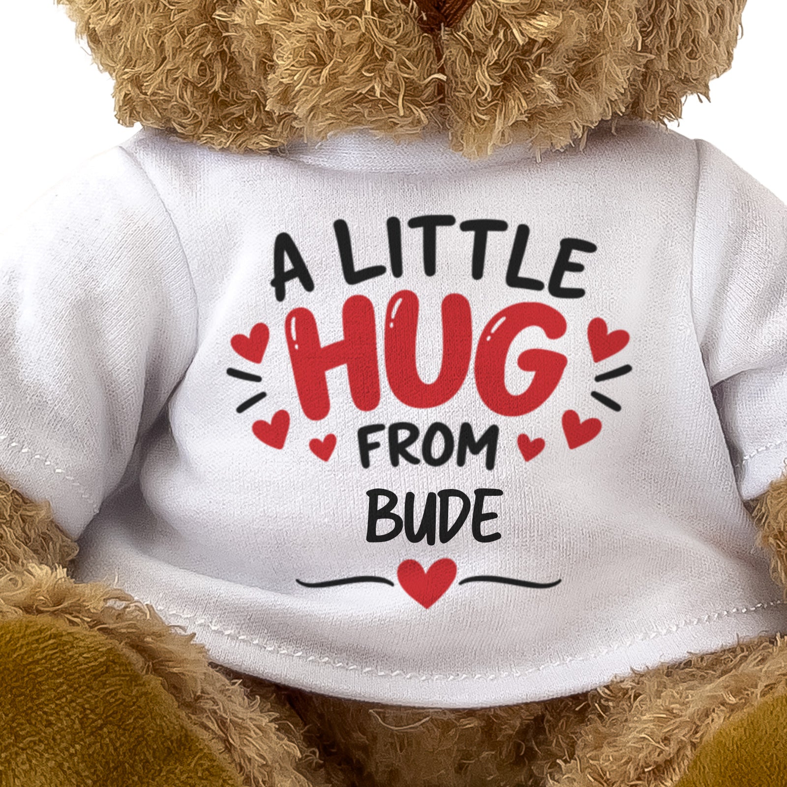 Close-up of the A Little Hug From Bude T-shirt design