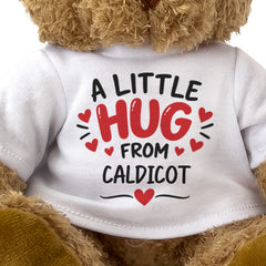 Close-up of the A Little Hug From Caldicot T-shirt design