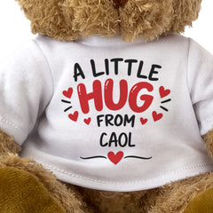 Close-up of the A Little Hug From Caol T-shirt design