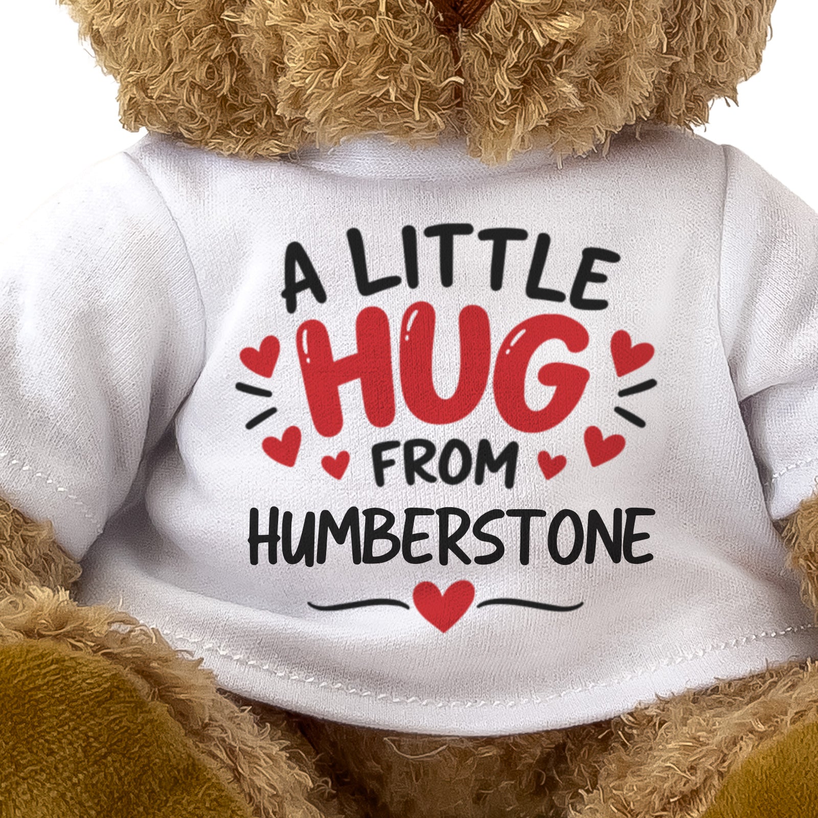 Close-up of the A Little Hug From Humberstone T-shirt design