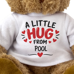 Close-up of the A Little Hug From Pool T-shirt design