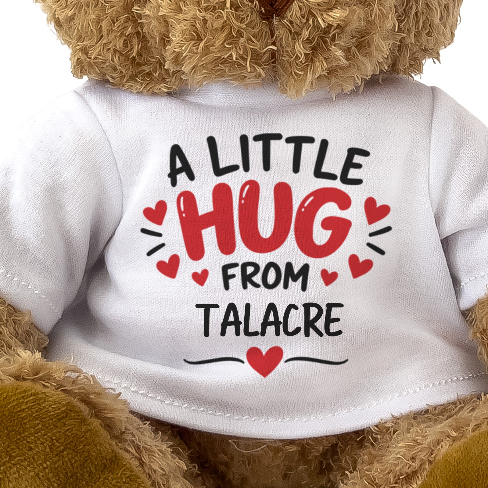 Close-up of the A Little Hug From Talacre T-shirt design
