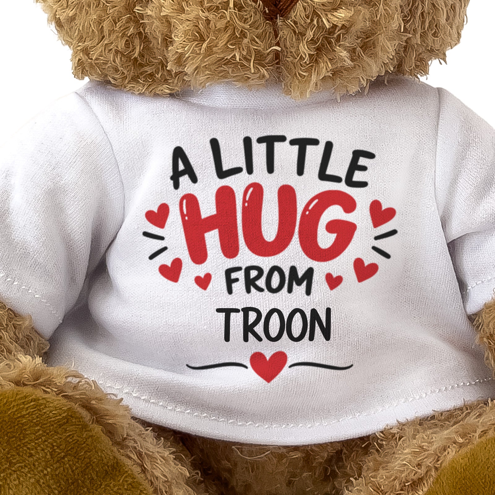 Close-up of the A Little Hug From Troon T-shirt design