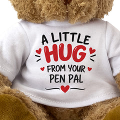 Close-up of the A Little Hug From Your Pen Pal T-shirt design