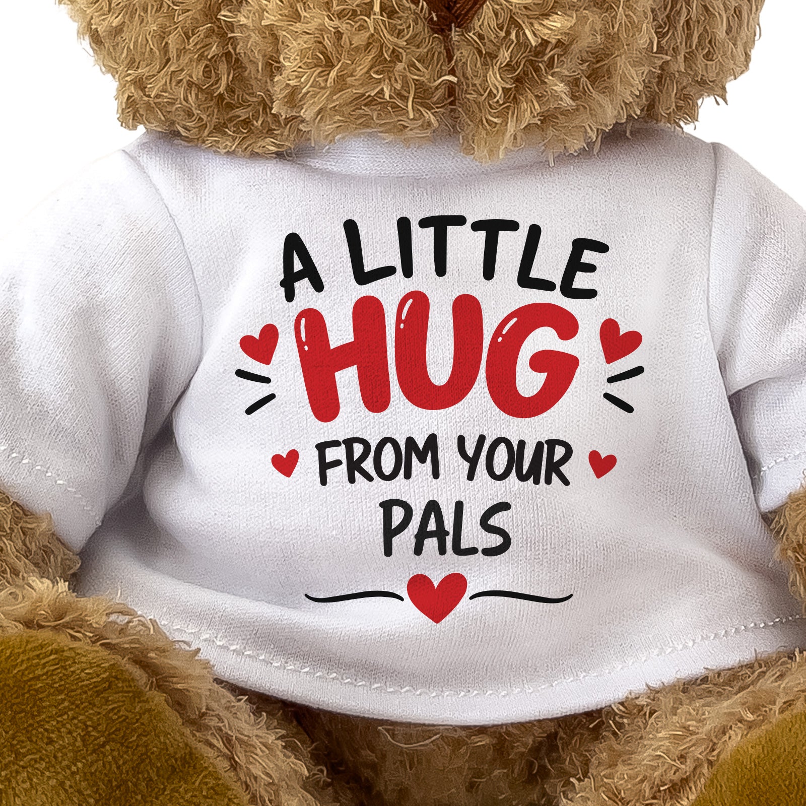 Close-up of the A Little Hug From Your Pals T-shirt design