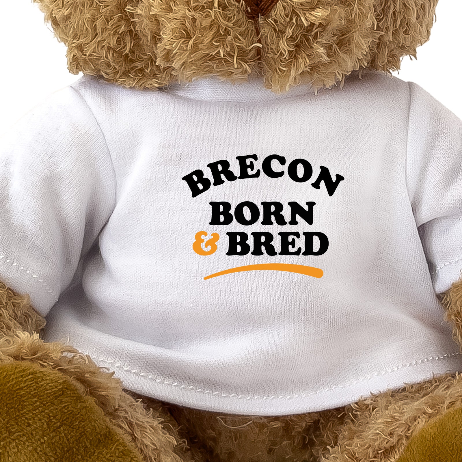 Close-up of the Brecon Born and Bred T-shirt design