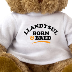 Close-up of the Llandysul Born and Bred T-shirt design