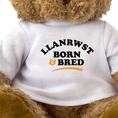 Close-up of the Llanrwst Born and Bred T-shirt design