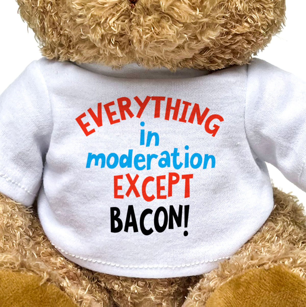 Everything In Moderation Except Bacon! - Teddy Bear