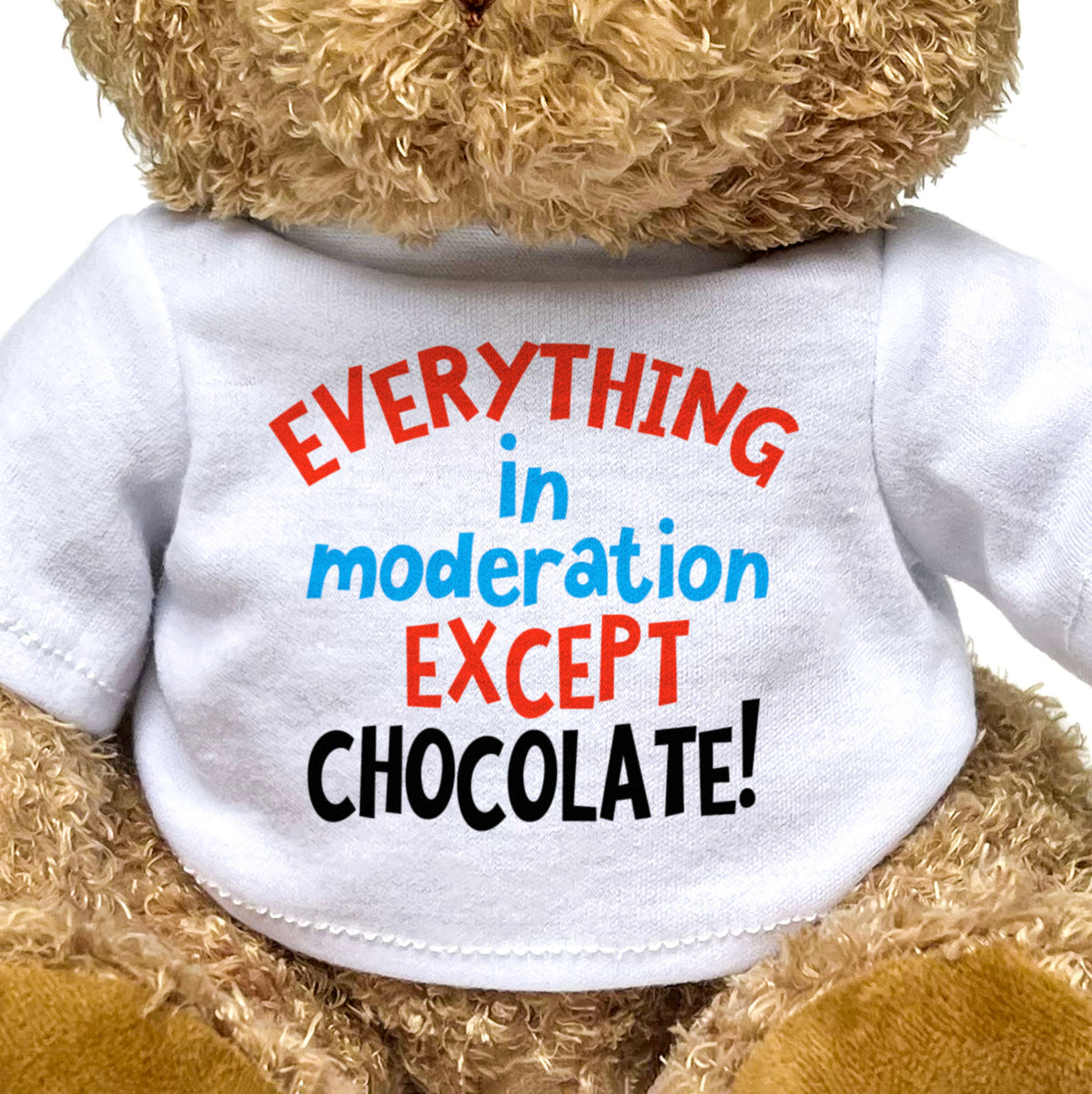 Everything In Moderation Except Chocolate! - Teddy Bear