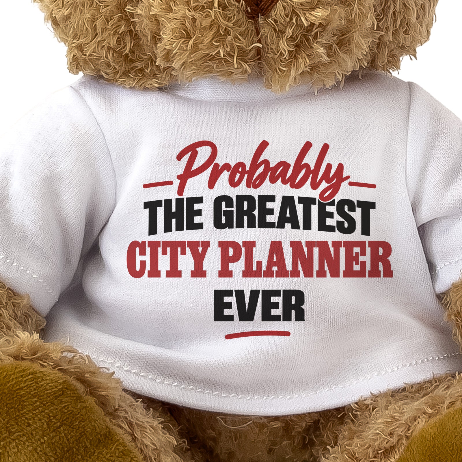 Close-up of the Probably the Greatest City Planner Ever T-shirt design
